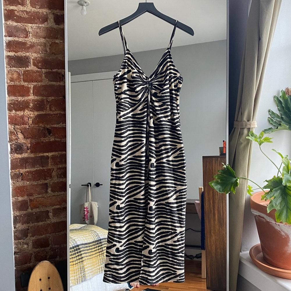 Zara Zebra Maxi Dress